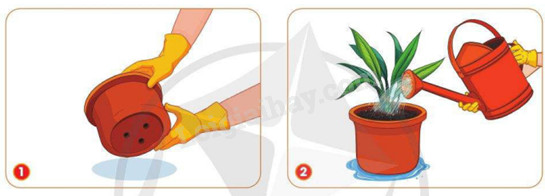 Lỗ thoát nước quan trọng ở đáy chậu nhựa trồng hoa cây cảnh