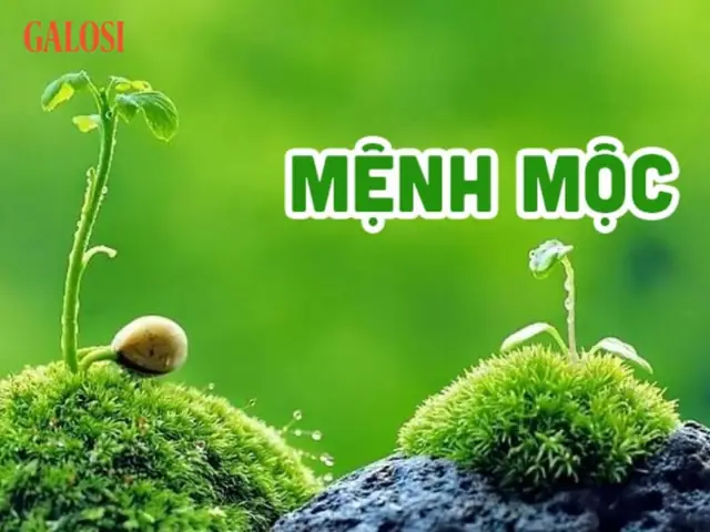 màu phòng ngủ mệnh mộc màu phòng ngủ mệnh mộc
