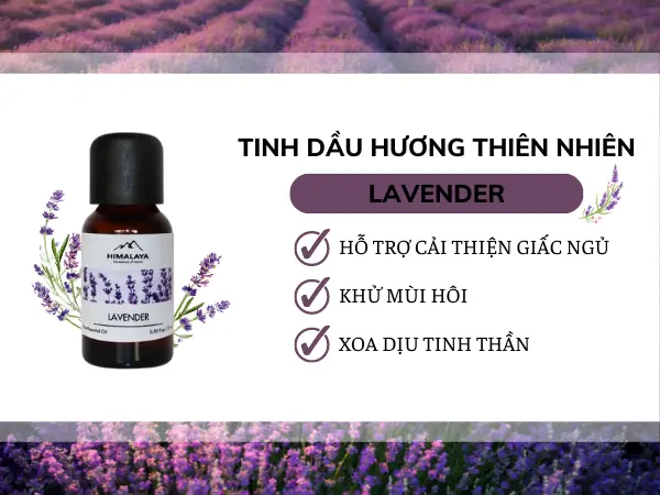 Các Mùi Tinh Dầu Thích Hợp Với Phòng Ngủ Giúp Ngủ Ngon & Thư Giãn
