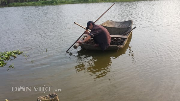 Người dân Ninh Bình chuẩn bị dụng cụ để thực hiện cách bẫy cua đồng bằng chai nhựa