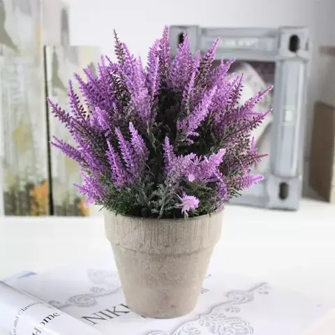 Nội thất Phòng Ngủ Có Cây: Chọn Loại Nào? Bố Trí Ra Sao? Nội thất Phòng Ngủ Có Cây: Chọn Loại Nào? Bố Trí Ra Sao?