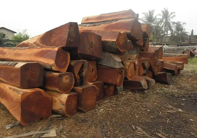 Nội thất phòng ngủ gỗ lim: Lựa chọn tinh tế cho không gian sống
