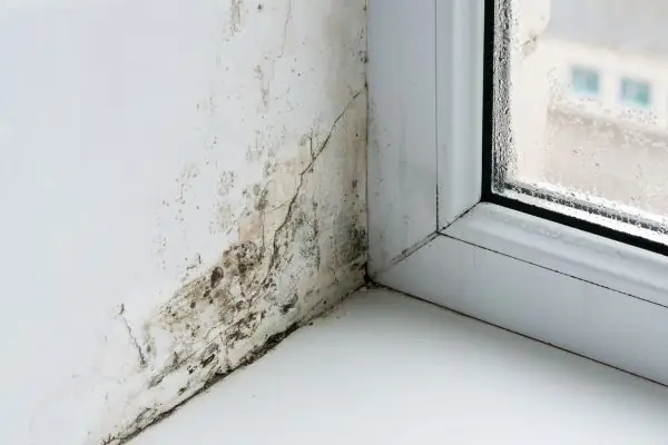phòng ngủ bị ẩm mốc