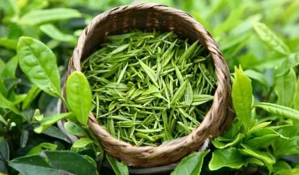 phòng ngủ bị ẩm mốc