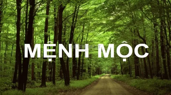 phòng ngủ cho người mệnh mộc