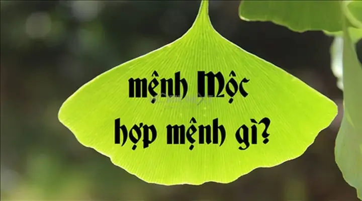 phòng ngủ cho người mệnh mộc