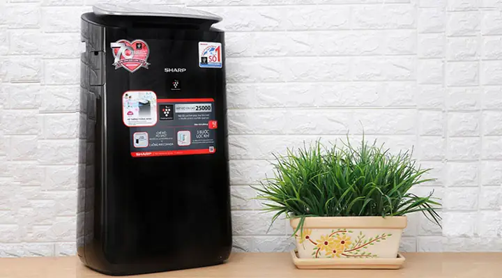 Phòng ngủ đặt ở đâu: Nguyên tắc bố trí không gian tối ưu