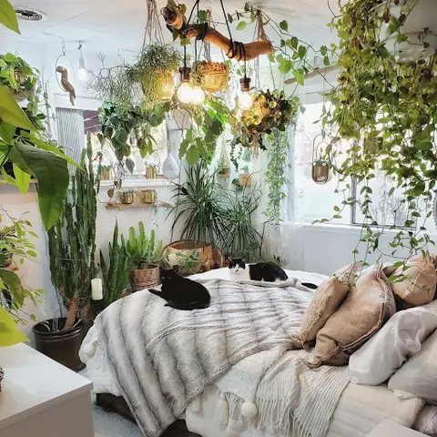 2. Những điều nên lưu ý khi đặt cửa phòng ngủ 2. Những điều nên lưu ý khi đặt cửa phòng ngủ