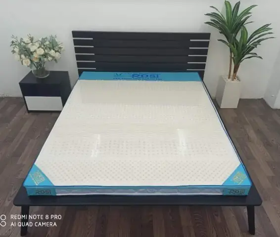 Phòng Ngủ Hòa Với Thiên Nhiên: Hướng Dẫn Thiết Kế Đem Lại Bình Yên
