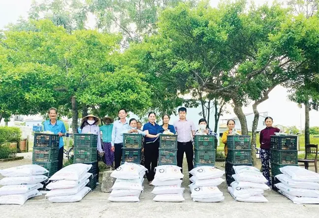 Thiết Kế Phòng Ngủ Kiểu Pháp Nghèo: Sang Trọng Với Ngân Sách Hạn Chế