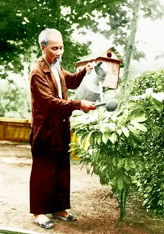 Thiết Kế Phòng Ngủ Kiểu Pháp Nghèo: Sang Trọng Với Ngân Sách Hạn Chế