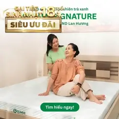 Nệm Gummi Signature – Công nghệ kép, nâng đỡ vượt trội, kháng khuẩn tối đa Nệm Gummi Signature – Công nghệ kép, nâng đỡ vượt trội, kháng khuẩn tối đa