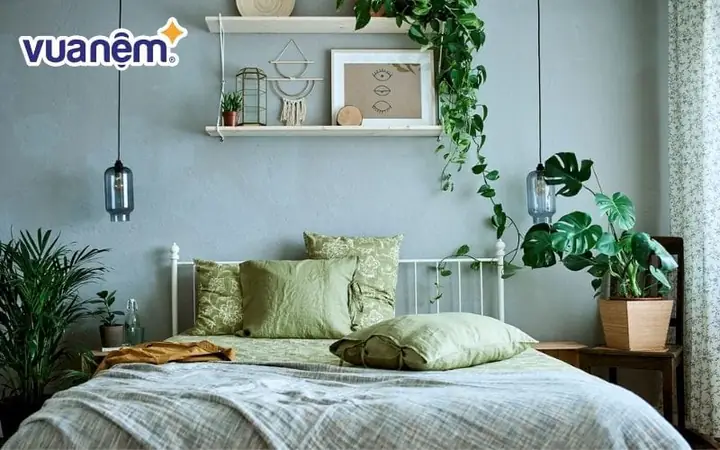 1.3. Cây cảnh 1.3. Cây cảnh