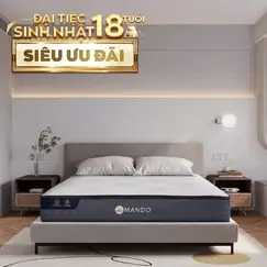 Nệm lò xo Amando Elite Original túi độc lập tiêu chuẩn khách sạn 5 sao dày 23cm Nệm lò xo Amando Elite Original túi độc lập tiêu chuẩn khách sạn 5 sao dày 23cm