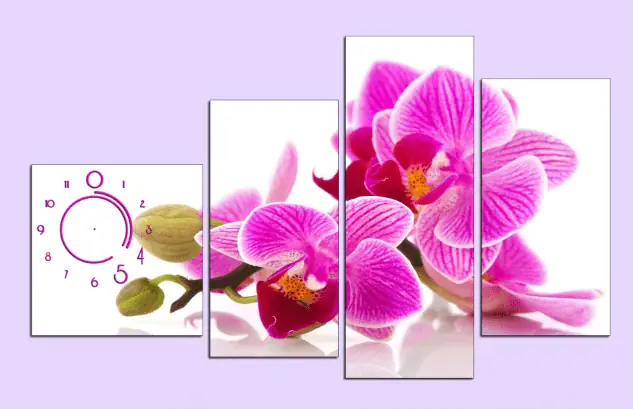 Phòng Ngủ Tuổi Quý Hợi 1983: Hướng Dẫn Thiết Kế Phong Thủy Chuẩn