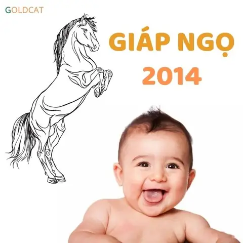 Phong Thủy Phòng Ngủ Tuổi Giáp Ngọ: Hướng & Màu Sắc Thu Hút May Mắn