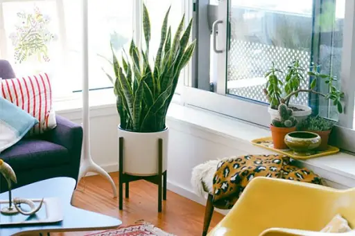 Phụ Kiện Phòng Ngủ Giá Rẻ: Làm Sao Để Decor Đẹp Và Tiết Kiệm? Phụ Kiện Phòng Ngủ Giá Rẻ: Làm Sao Để Decor Đẹp Và Tiết Kiệm?