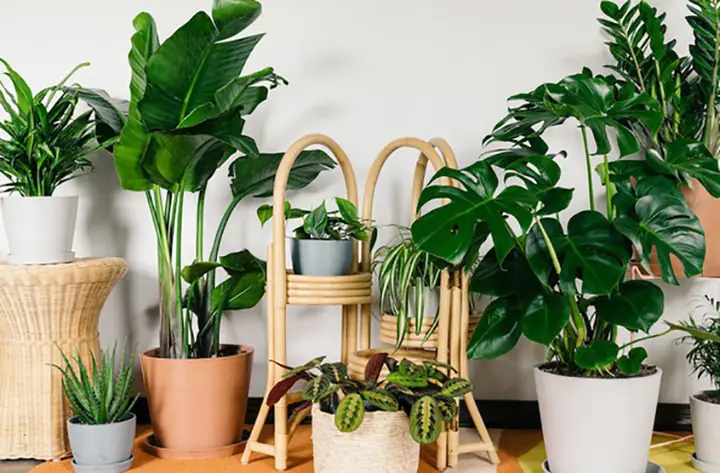 Phụ Kiện Phòng Ngủ Giá Rẻ: Làm Sao Để Decor Đẹp Và Tiết Kiệm? Phụ Kiện Phòng Ngủ Giá Rẻ: Làm Sao Để Decor Đẹp Và Tiết Kiệm?