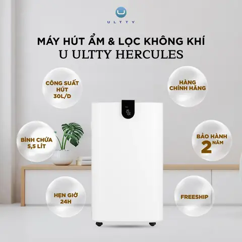 Làm thế nào để lựa chọn sản phẩm hút ẩm phòng ngủ phù hợp nhất?