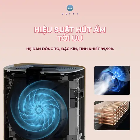 Làm thế nào để lựa chọn sản phẩm hút ẩm phòng ngủ phù hợp nhất?
