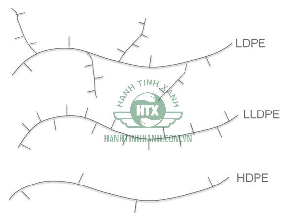 So sánh cấu trúc phân tử của nhựa LDPE và HDPE
