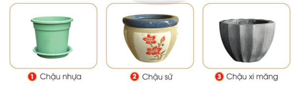 So sánh đặc điểm các loại chậu nhựa, chậu sứ và chậu xi măng