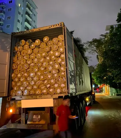 Thảm Cuộn Trải Sàn Phòng Ngủ: Hướng Dẫn Chọn Và Sử Dụng Hiệu Quả