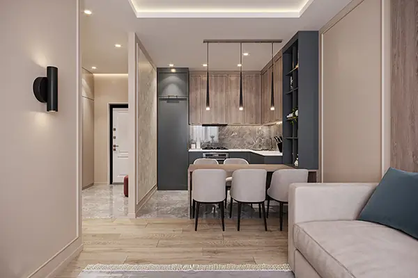 1. Mẫu nội thất căn hộ 43m2 với 1 - 2 phòng ngủ