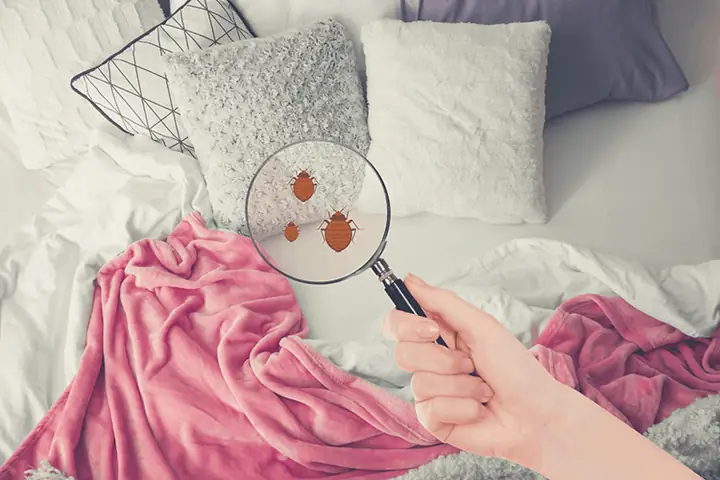Làm thế nào để thiết kế phòng ngủ bụi bặm đầy cá tính? Làm thế nào để thiết kế phòng ngủ bụi bặm đầy cá tính?