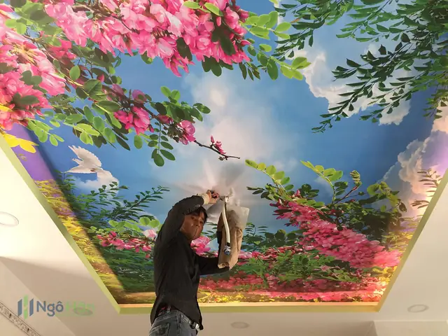 Mua tranh dán trần nhà 3d đẹp, rẻ ở đâu?