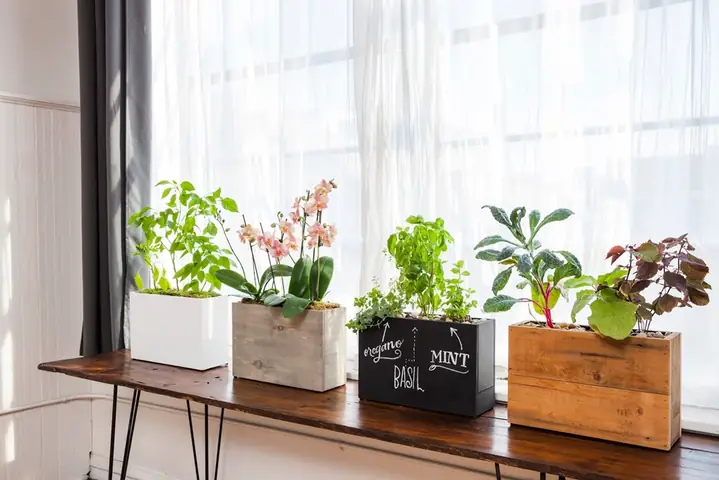 Cách trang trí cây treo cửa sổ phòng ngủ đẹp và dễ thực hiện