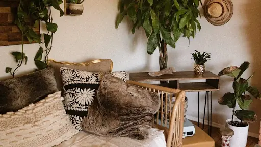 10. Tạo điểm nhấn trang trí bằng một vài chậu cây