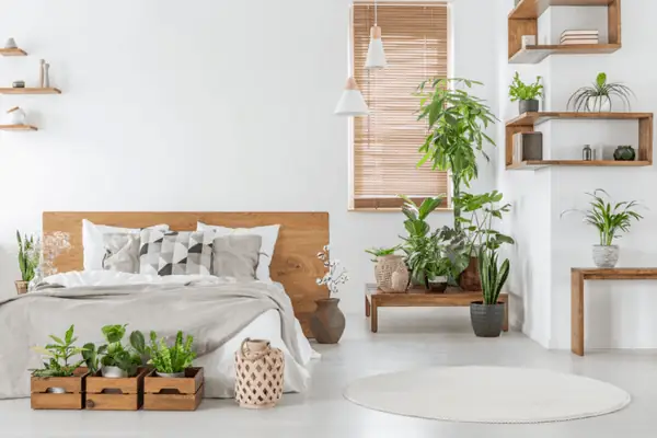 Qui Phúc mách bạn cách trang trí phòng ngủ đón Tết