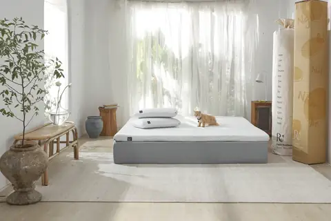 Mẫu trang trí phòng ngủ nệm dưới đất hiện đại, sang trọng