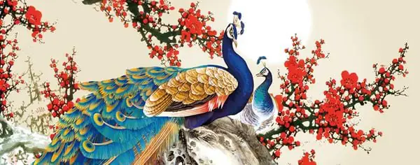 Thông số sản phẩm