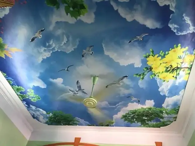 tranh dán trần phòng ngủ tranh dán trần phòng ngủ