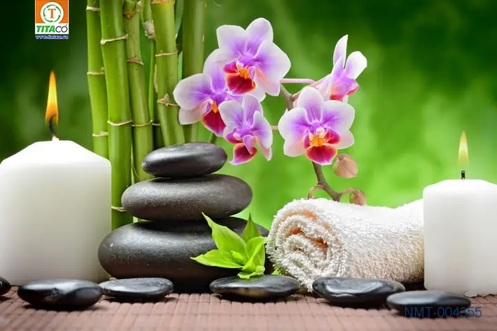 Chọn Tranh vải dán tường Cho Spa, Thẩm Mỹ Viện Đẹp !!! Chọn Tranh vải dán tường Cho Spa, Thẩm Mỹ Viện Đẹp !!!
