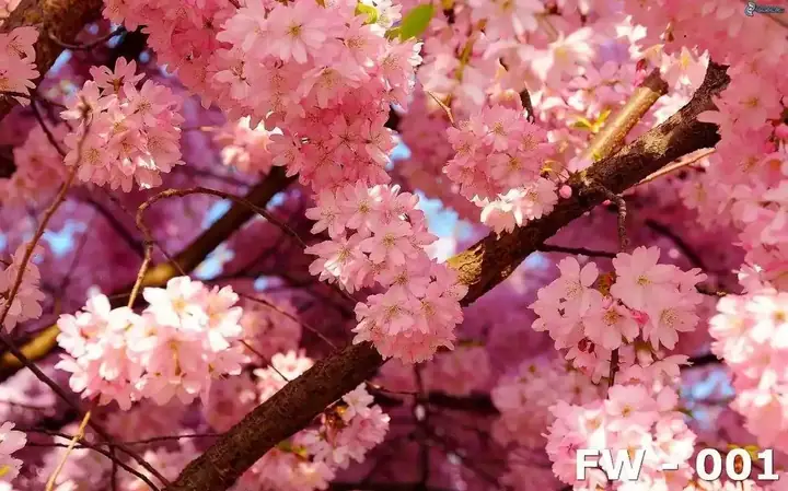 tranh dán tường phòng ngủ vợ chồng tranh dán tường phòng ngủ vợ chồng