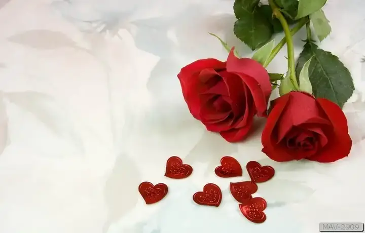tranh dán tường phòng ngủ vợ chồng tranh dán tường phòng ngủ vợ chồng