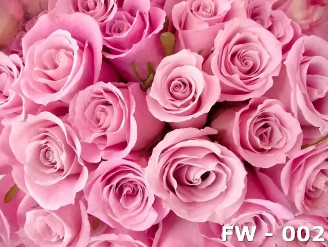 tranh dán tường phòng ngủ vợ chồng tranh dán tường phòng ngủ vợ chồng