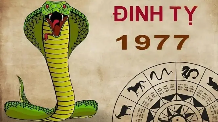 Chọn Tranh Treo Phòng Ngủ Tuổi Đinh Tỵ Hợp Phong Thủy, Tài Lộc