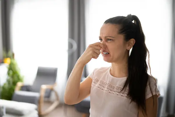 tự làm lọ hương thơm cho phòng ngủ