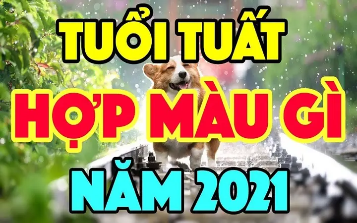 Tuổi Nhâm Tuất Đeo Phòng Ngủ Màu Gì Để Hợp Phong Thủy? Tuổi Nhâm Tuất Đeo Phòng Ngủ Màu Gì Để Hợp Phong Thủy?