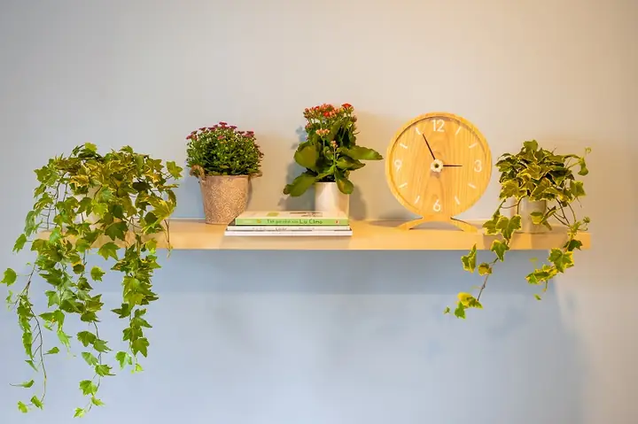 Tường Cây Xanh Phòng Ngủ: Hướng Dẫn Thiết Kế & Lợi Ích Không Ngờ Tường Cây Xanh Phòng Ngủ: Hướng Dẫn Thiết Kế & Lợi Ích Không Ngờ