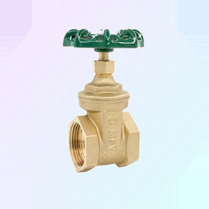 van cửa đồng phục vụ trong các hệ thống cấp nước của cửa hàng ống nhựa Bình Minh
