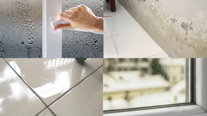 Xây Gạch Mộc Chống Ẩm Phòng Ngủ: Những Kiến Thức Cần Biết