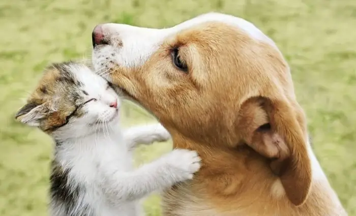 Phòng ngủ méo phải làm sao? Mẹo xử lý và bố trí thông minh