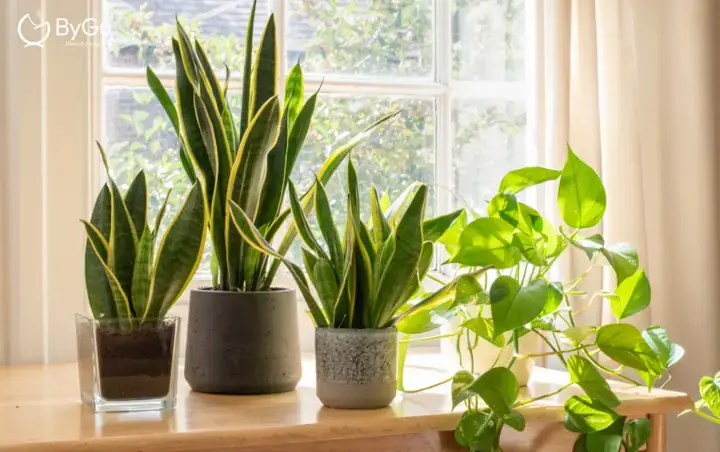 Các Giải Pháp Sáng Tạo Để Xử Lý Cột Trong Phòng Ngủ