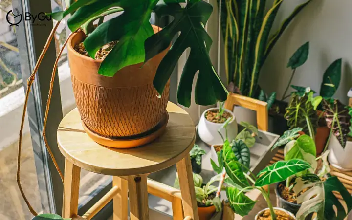 Cột Trong Phòng Ngủ: Thách Thức và Cơ Hội Cột Trong Phòng Ngủ: Thách Thức và Cơ Hội